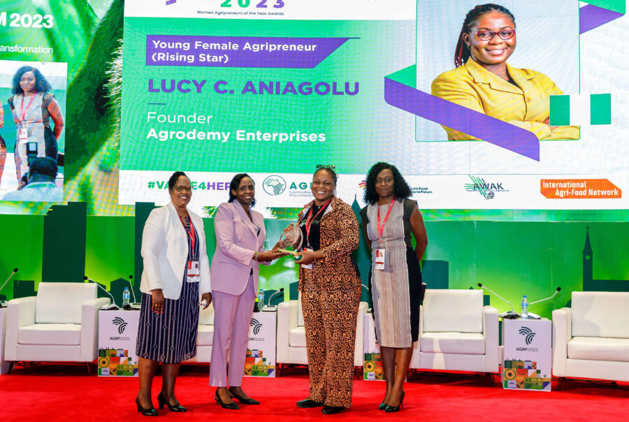 Lucy Chioma Aniagolu, Nigeria