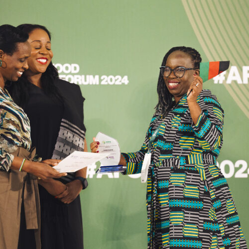 Fannie Gondwe, Malawi